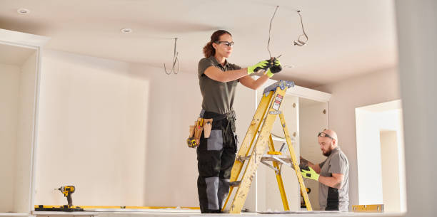 Best Home Electrical Repair  in Mazomanie, WI
