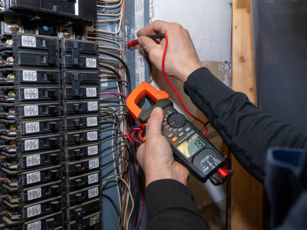 Best Local Electrician Companies  in Mazomanie, WI